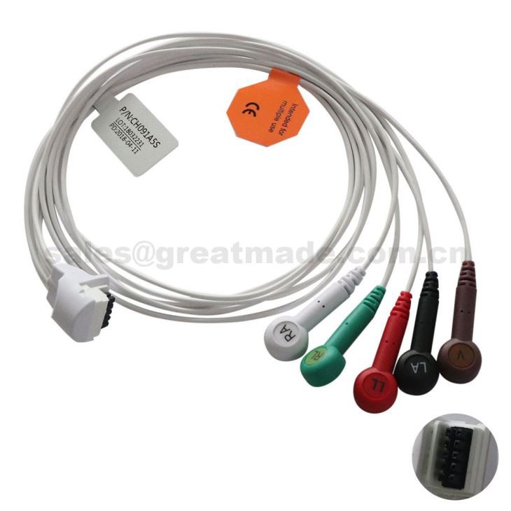 Gebruik met Mortara H3 Holter 5-lead leadwires