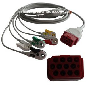 Compatibele Bionet BM3 BM5 ééndelige ECG-kabel met geleidedraden, AHA, 5-geleidend, snap, rood 12-pins